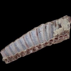 Costilla de cerdo salada - Imagen 2