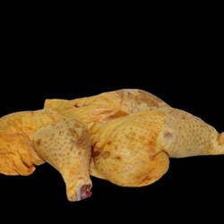 Cuartos traseros de pollo - Imagen 1