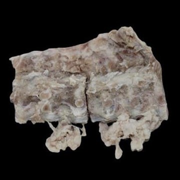 Huesos espinazo de cerdo salados (para cocidos) - Imagen 1