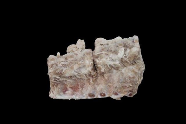 Huesos espinazo de cerdo salados (para cocidos) - Imagen 2