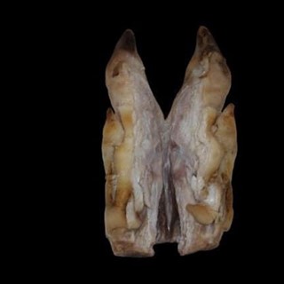 Patas de cerdo saladas - Imagen 2