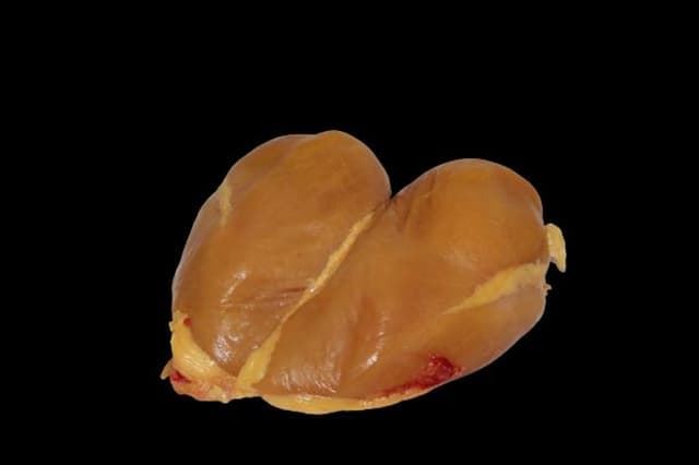 Pechugas de pollo - Imagen 2