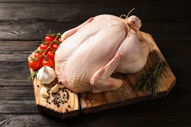 Pollo